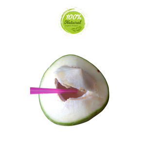 Noix de coco du Vietnam fraîches et naturelles Pure Perfection Produit agricole - Product Image 5