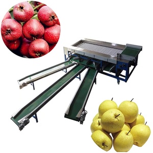 Fresh Produce Packing House Rotary Drum Classifier for Efficient Fruit Sorting - Product Image 1