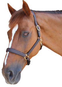 Cabestro de Cuero para Silla de Montar Occidental de Alta Calidad, Personalizable, con Hebilla Ajustable, Diseño de Logotipo Personalizado para Equitación - Product Image 2