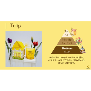 Bougie artisanale JBPQ pour le bien-être, décoration aromathérapie tulipe, cire de paraffine - Product Image 3