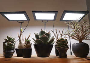 ROKI-Pince en Fer à Hauteur Réglable pour ROKI-350 54cm/64cm/74cm - Product Image 3