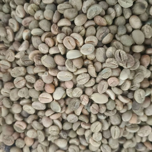 เมล็ดกาแฟอาราบิก้าสีเขียวคั่วล้างดำเนินการส่งออกจากเคนยา - Product Image 2