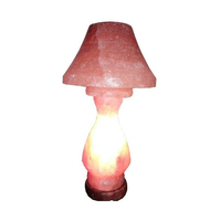 Lampe de sel de l'Himalaya naturelle, lampe de chevet LED décorative pour chambre à coucher, salon, décoration intérieure