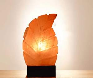 Lámpara de sal de roca del Himalaya con diseño de hoja única, elegante Cristal tallado a mano con soporte de madera para Decoración - Product Image 3