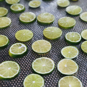WHOLESALE CHEAP PRICE PREMIUM QUALITY DRIED LIME SLICES FROM VIETNAMESE SUPPLIER - Product Image 1