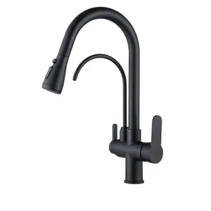 Flexible Kitchen 360 Rotation Water Filter Purifier 2 Water Outlets Output Taps Telescopic Sprayer Pull Out For Kitchen