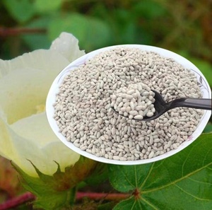 Graines de coton biologiques blanchies brutes pour le filage, matériau de rembourrage respirant et écologique - Product Image 6