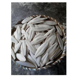 DRIED WASHED CUTTLE FISH BONE, FRESH <b>CUTTLEFISH</b> BONE - Product Image 1