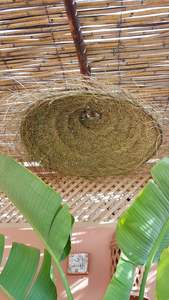 โคมไฟหญ้าทะเลแบบเรียบง่ายทันสมัยสำหรับตกแต่งบ้านโคมไฟระย้าแขวนเพดานสำหรับโรงแรมรีสอร์ทผู้จำหน่ายจากเวียดนาม - Product Image 4