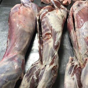 Bœuf congelé certifié Halal, 100% pur et naturel, vente en gros, goût frais, texture riche, qualité supérieure, biologique - Product Image 1