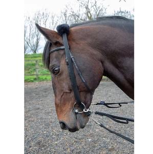 Lenging à l'aide d'une bride, brun roulé Bridle avec brevet Noseband - Product Image 1