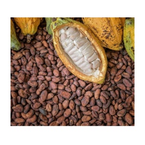 Cacao en vrac à vendre Cacao de qualité supérieure disponible en grandes quantités pour les commandes en gros à bas prix - Product Image 3