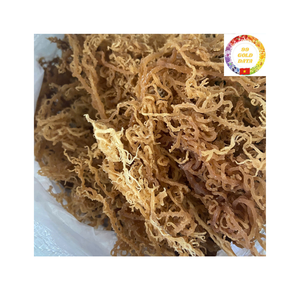 Mousse de mer séchée biologique et sauvage de haute qualité du Vietnam meilleur prix pour les acheteurs en gros - Product Image 1