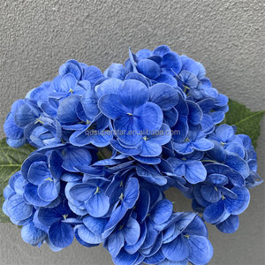 Fleur artificielle d'hortensia de haute qualité <span class=keywords><strong>A</strong></span>-469, bleue, toucher réaliste, latex, tige d'hortensia, grosse tête, pour décoration de mariage - Product Image 3