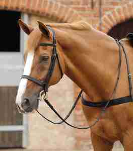 Riendas Premium para Caballos de Carreras 2026, Último Diseño, Antideslizantes, Accesorios Laterales, Fabricante y Proveedor, Riendas para Montar a Caballo al por Mayor - Product Image 2