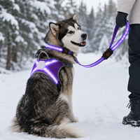 Ensemble Harnais et Laisse Professionnel Qcool Anti-Traction Respirant en Nylon avec Logo Personnalisé pour la Protection Nocturne des Chiens