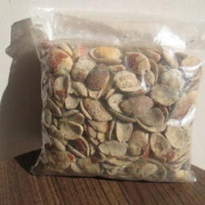 Nueces de Ogbono de Primera Calidad, Crudas y Secas, a Granel, para Venta al por Mayor, Ideales para Aperitivos y Cocina - Product Image 1