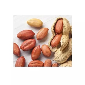 Approvisionnement en vrac d'arachides de qualité supérieure, vente en gros, prix abordable, vrac frais - Product Image 4