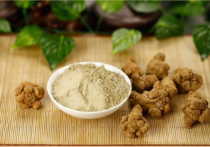 Poudre de feuilles de Celastrus hindsii séchées à vendre, poudre de feuilles de Celastrus hindsii noires séchées, boîte de 300 grammes, Vietnam - Product Image 2