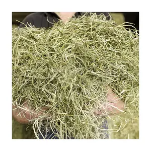 Hochprotein-Alfalfa-Hahn/Timothy-Hahn zu verkaufen ALFAFA-HÄN VERSORGBEREIT/Alfalfa-Hahn mit hohem Proteingehalt für die Tiernahrung