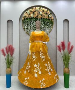 Dernière nouveauté Tendance mariage et mariage porter mariée Lehenga Choli belle couleur rouge lourde broderie travail Alphanumero - Product Image 2