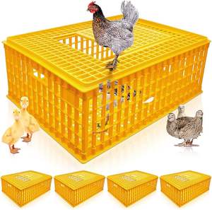 Pabrik Cetakan Injeksi Kandang Transportasi Unggas Hidup Plastik Kandang Ayam Cetakan Injeksi - Product Image 1