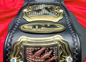 Cinturón de Campeonato Premium Personalizable, Ligero, con Logotipo Personalizado, Opciones de Diseño Únicas para Reconocimientos Deportivos, Tamaño Personalizado - Product Image 5