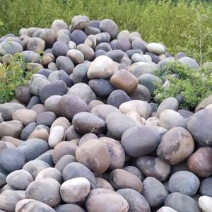 Galets et cailloux naturels pour l'aménagement paysager et la décoration de rivière, jardin, maison, hôtel, pépinière, usage industriel - Product Image 1