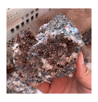 Fines de minerai de galène non concentré de haute qualité (poudre) TRN Trader LLC GO-266-01 Origine États-Unis 1 tonne MOQ