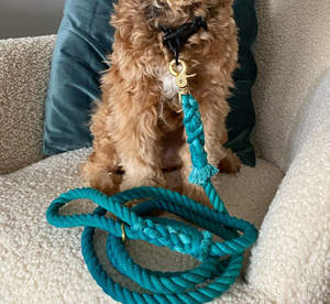 Correa para perros | Colección de cuerdas | Cuerda de algodón fuerte | Accesorio para mascotas de alta calidad - Product Image 1