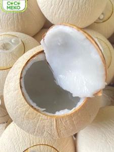 มะพร้าวสดพร้อมดื่มด้วยฟางกระดาษที่สะดวก - Product Image 5