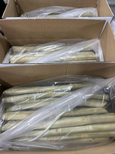 Bâtonnets de canne à sucre congelés en vrac pour la production de jus, marché de l'exportation - Product Image 3