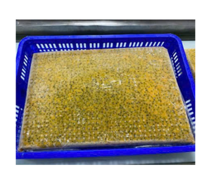 น้ำซุปข้นเสาวรสแช่แข็งสำหรับผู้ซื้อราคาดีที่สุดจากเวียดนาม - Product Image 3