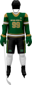 Hot Selling Custom Sublimation Printed Ice Hockey Jerseys Breathable <b>Padded</b> Four-Way Stretch Teamwear OEM Polyester/Cotton - Product Image 3