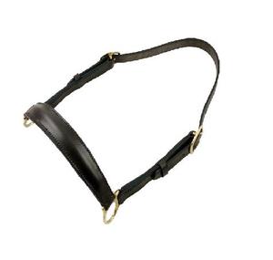 Équipement d'instrument vétérinaire de licou de cuir de vache pour l'abattage - Product Image 3