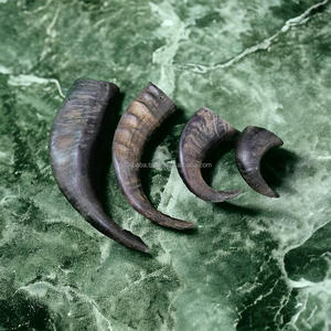 Jouets à mâcher pour chiens en corne de buffle sculptée de haute qualité, en tailles petite, moyenne et grande - Product Image 5