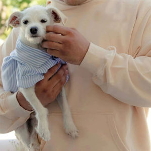 Ultra Comfort All-Season <b>Dog</b> Hoodies Lightweight Cotton Classic Print Style Quick Wear Stretchfit for Active <b>Dogs</b> - Product Image 3