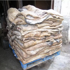 Pieles de Ganado Saladas Húmedas - Product Image 2