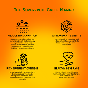 VINUT Bebida de jugo de mango puro con pulpa 490ml, sin azúcar, Etiqueta Privada, OEM/ODM, precio de fábrica, muestra gratis-Halal, BRCGS - Product Image 3