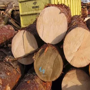 Africa Doussie / Tali / Azobe / Padouk Wood Logs