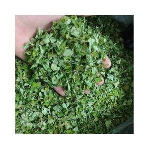 สินค้าเครื่องดื่ม ชา มะรุมแห้ง ทิ้งร้อน ผลิตในเวียดนาม สินค้าปลอดภัยต่อสุขภาพจากฟาร์มบลูโลตัส - Product Image 2