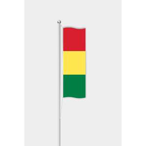 Drapeau vertical personnalisable de Guinée pour usage extérieur, impression numérique sur nylon de soie avec mât en aluminium pour l'assurance automobile - Product Image 1