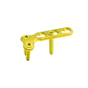 Fabrication Vétérinaire Os Titane 2.5mm Codyle Plaque de Verrouillage Implants de Traumatologie Orthopédiques Plaques en Acier Inoxydable - Product Image 2