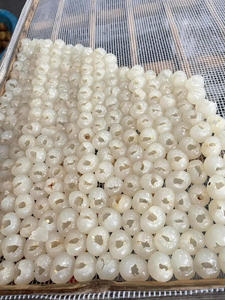 ÉXITO DE VENTAS: Longan Seco para Uso en Cocina Tradicional y Procesamiento de Ingredientes para Sopas, de Fábrica en Vietnam - Product Image 6