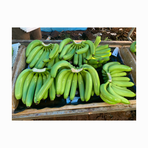 Tropical Banana <b>Fresh</b> Cavendish Banana Natural Fruits <b>Fresh</b> <b>Fruit</b> ORIGIN VIETNAM Cavendish Banana - Product Image 1