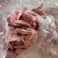 Sayap Ayam Beku 2 Bagian Berkualitas Tinggi Premium Proses IQF Kemasan Vakum 25kg Makanan Bergizi Persiapan Makan Malam Sehat