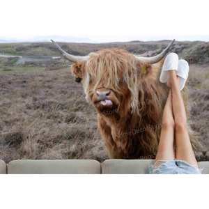 Alfombra de Lana Chenilla Estampada con Diseño de Patchwork, Respaldo de Látex Ecológico, Decoración Rústica y de Entrada, Regalo Personalizado - Product Image 3