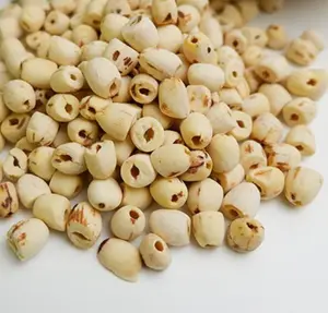Оптовая продажа Сушеные Семена лотоса готовы к экспорту из Вьетнама