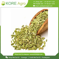 Biji adas kelas makanan Crop baru Area produksi inti kualitas tinggi grosir dengan harga grosir dengan kemasan guci Mason Drum