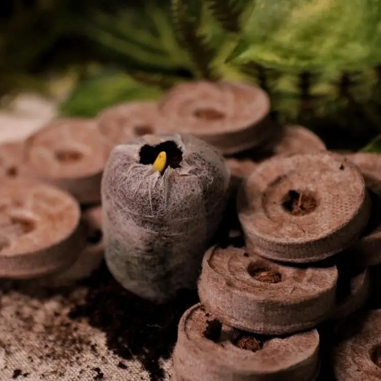 Pelota de turfa de coco artesanal mais vendida, ecológica, para decoração de jardim, prato de melhor qualidade para cultivo de plantas no Vietnã